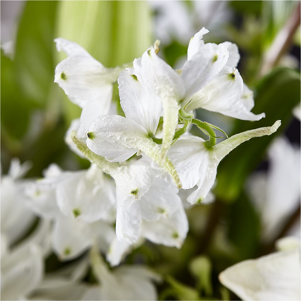Classic Ivory – A Florist Original –  Greater Fayetteville Flower Shop, Springdale AR