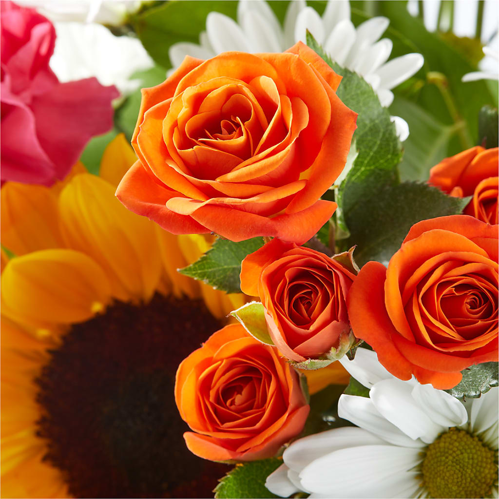 Sun-drenched Blooms Bouquet –  Greater Fayetteville Flower Shop, Springdale AR