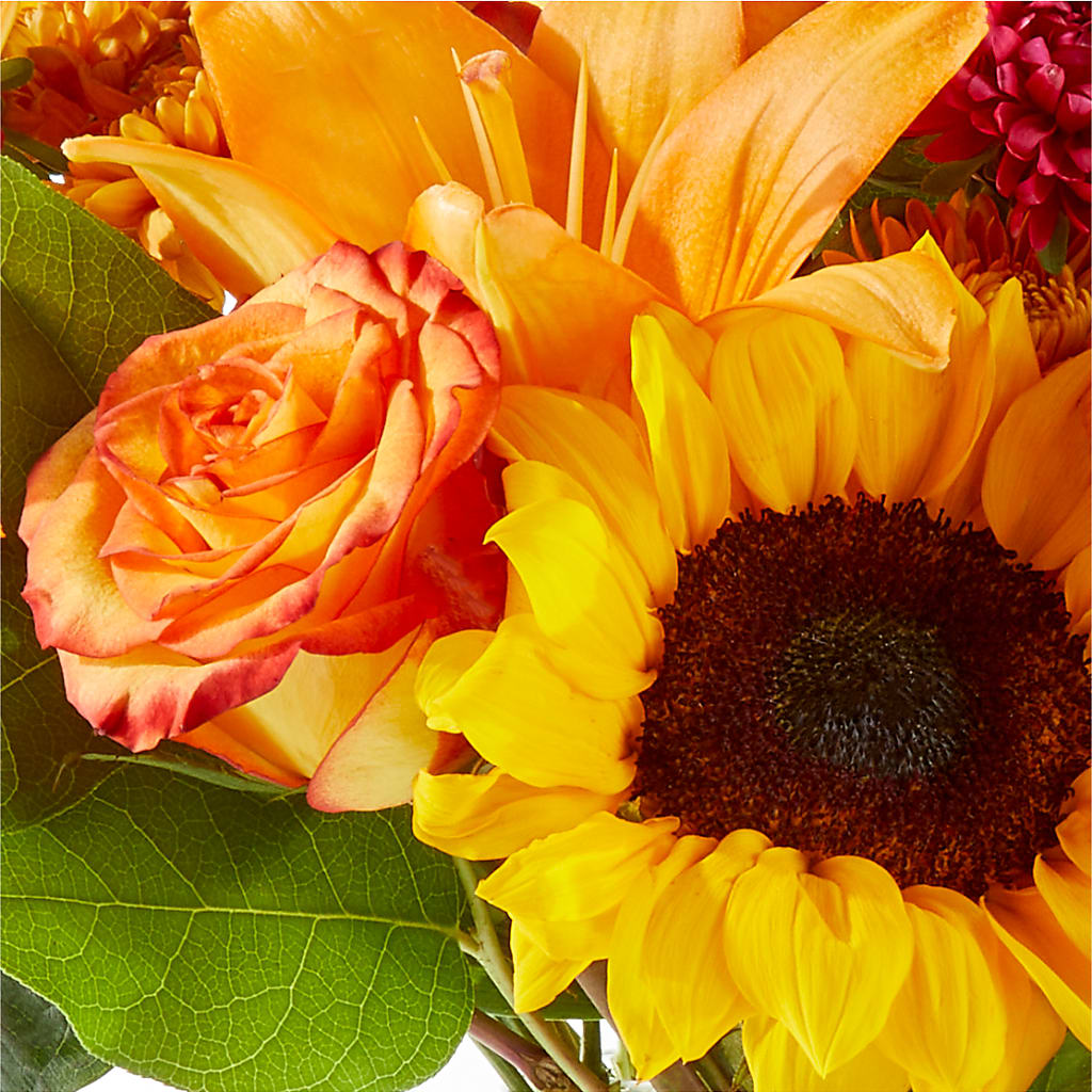 Fall Day Bouquet –  Greater Fayetteville Flower Shop, Springdale AR