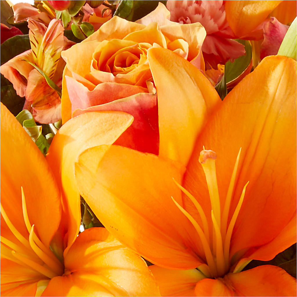 Afternoon Light Bouquet –  Greater Fayetteville Flower Shop, Springdale AR