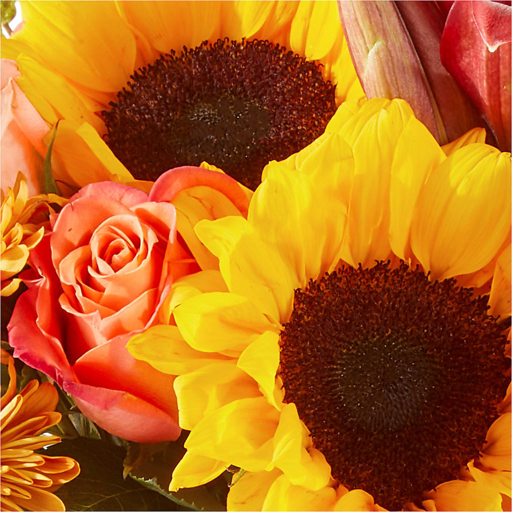Acorn Lane Bouquet –  Greater Fayetteville Flower Shop, Springdale AR
