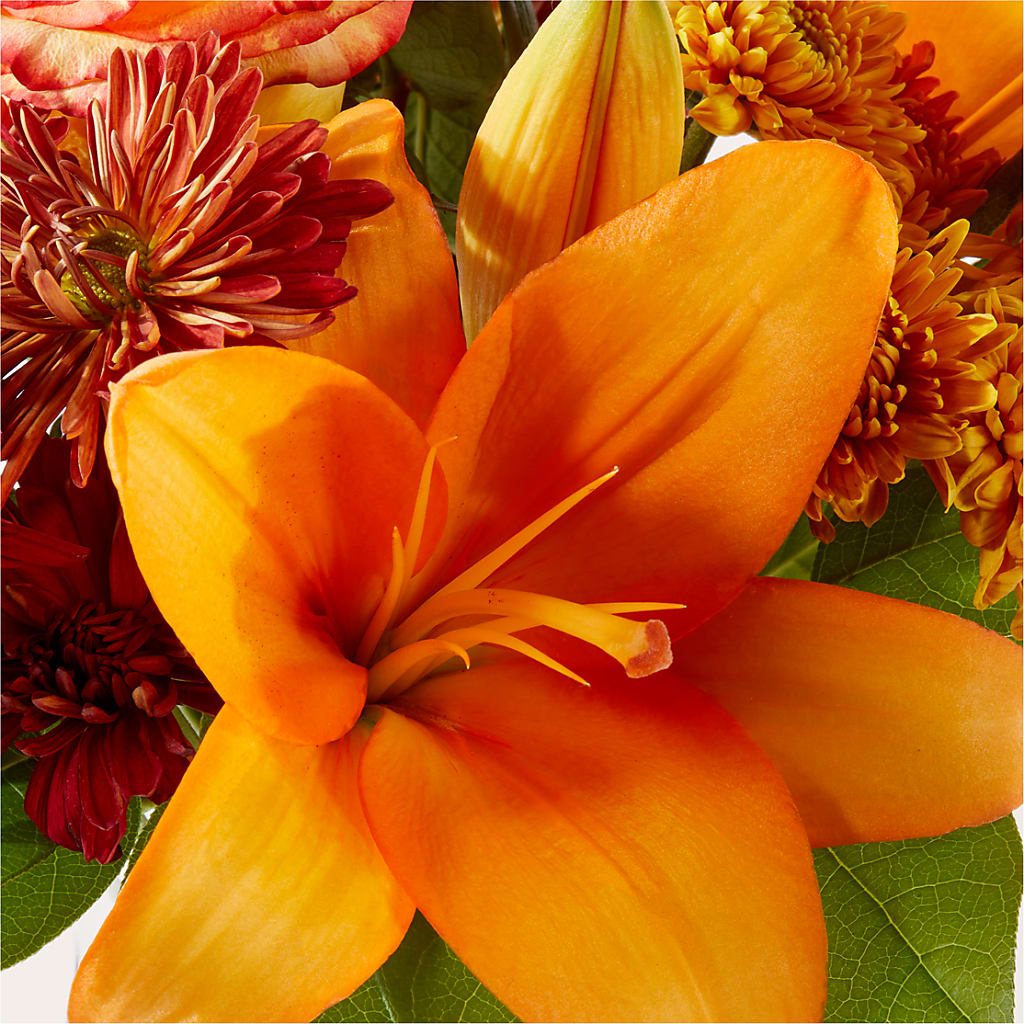 Autumnal Aroma Bouquet –  Greater Fayetteville Flower Shop, Springdale AR