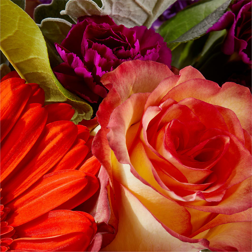 Sangria Bouquet –  Greater Fayetteville Flower Shop, Springdale AR