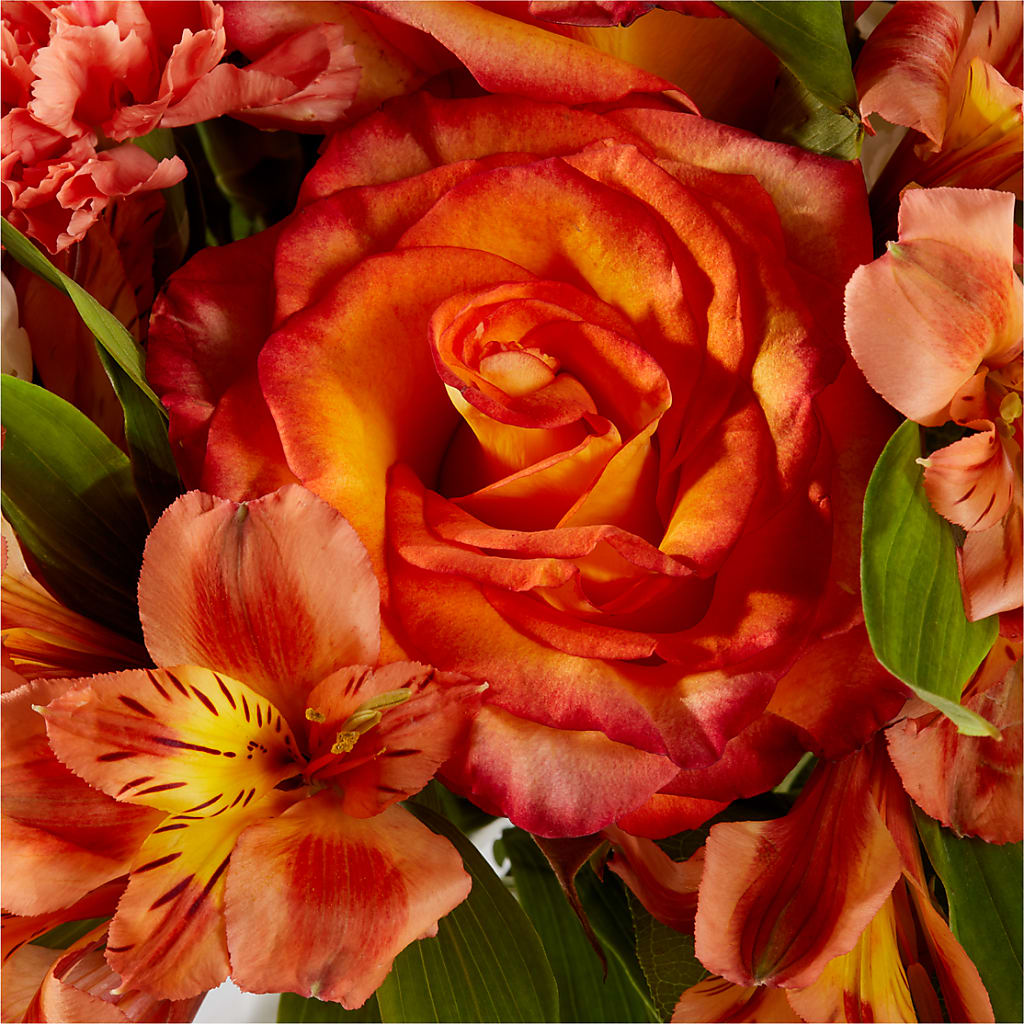 Apricot Glow Bouquet –  Greater Fayetteville Flower Shop, Springdale AR
