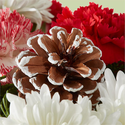 Candy Cane Lane Bouquet –  Greater Fayetteville Flower Shop, Springdale AR