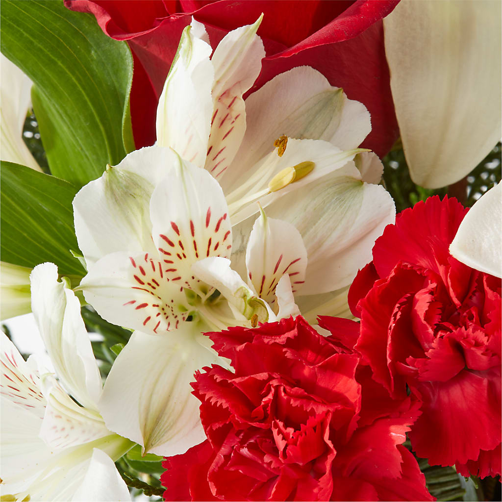 Holiday Season Bouquet –  Greater Fayetteville Flower Shop, Springdale AR