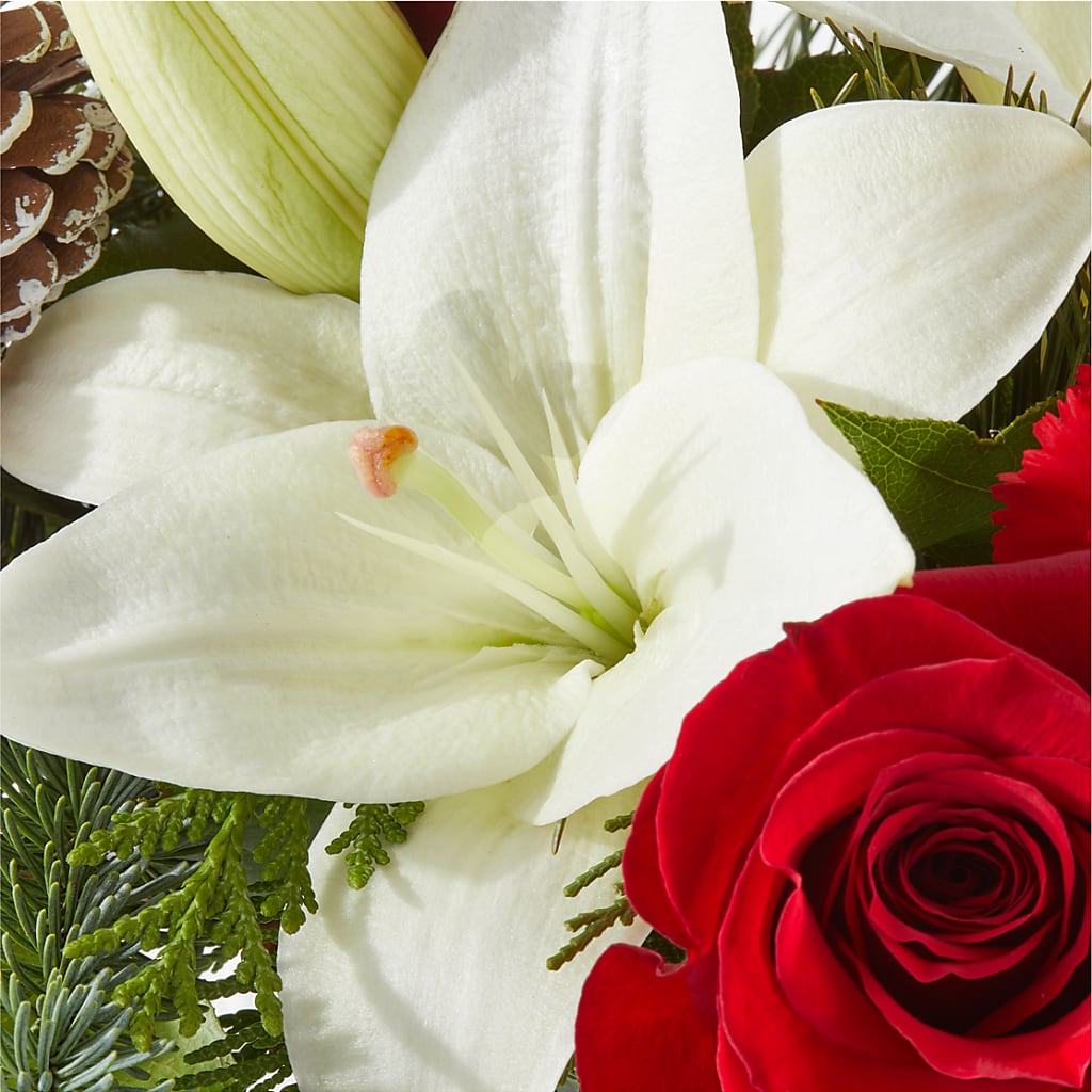 Oh So Jolly Bouquet –  Greater Fayetteville Flower Shop, Springdale AR