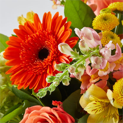 Autumn Sunshine Bouquet –  Greater Fayetteville Flower Shop, Springdale AR
