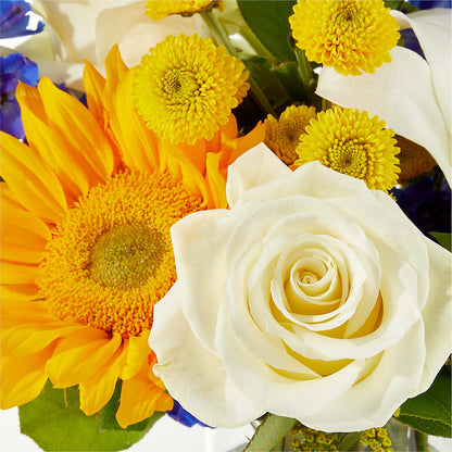 Stargazing Bouquet –  Greater Fayetteville Flower Shop, Springdale AR