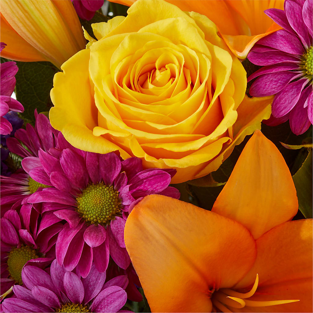 Colorful Visions Bouquet –  Greater Fayetteville Flower Shop, Springdale AR
