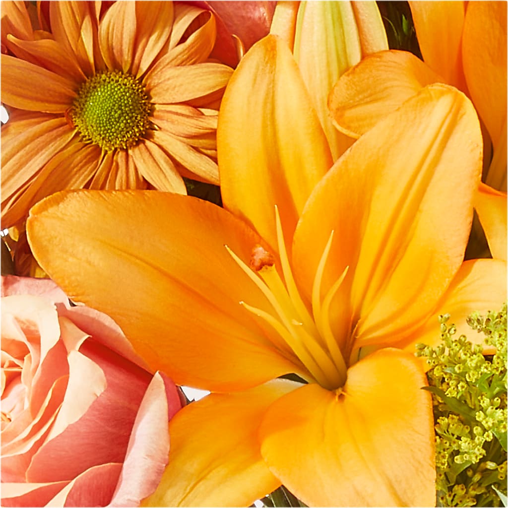 Harvest Hayride Bouquet –  Greater Fayetteville Flower Shop, Springdale AR