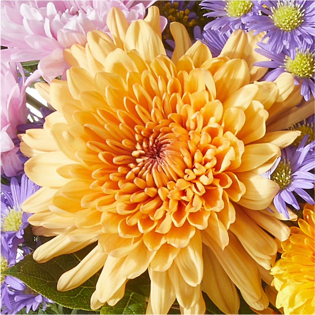 Countryside Bouquet –  Greater Fayetteville Flower Shop, Springdale AR
