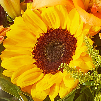 Seasons Change Bouquet –  Greater Fayetteville Flower Shop, Springdale AR