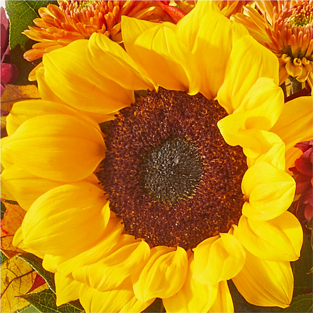 Sunny Side Bouquet –  Greater Fayetteville Flower Shop, Springdale AR