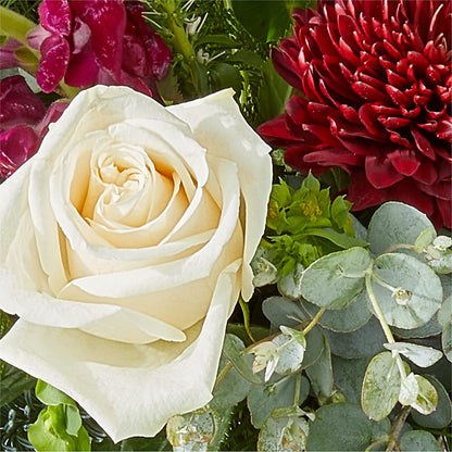 Cranberry Fizz Bouquet –  Greater Fayetteville Flower Shop, Springdale AR