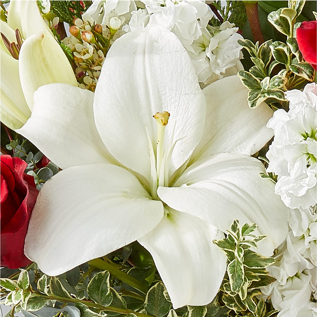 Twinkle Lights Bouquet –  Greater Fayetteville Flower Shop, Springdale AR