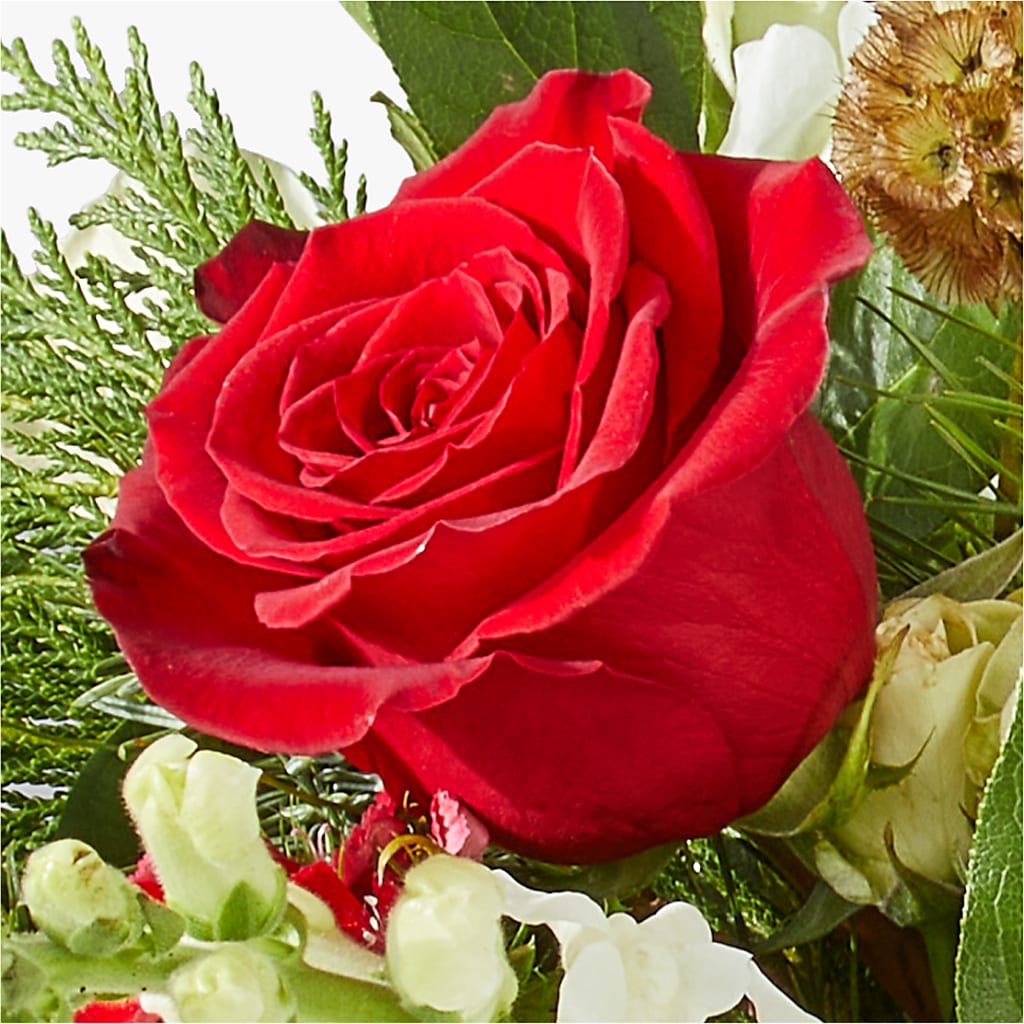 Deck the Halls Bouquet –  Greater Fayetteville Flower Shop, Springdale AR