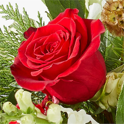 Deck the Halls Bouquet –  Greater Fayetteville Flower Shop, Springdale AR