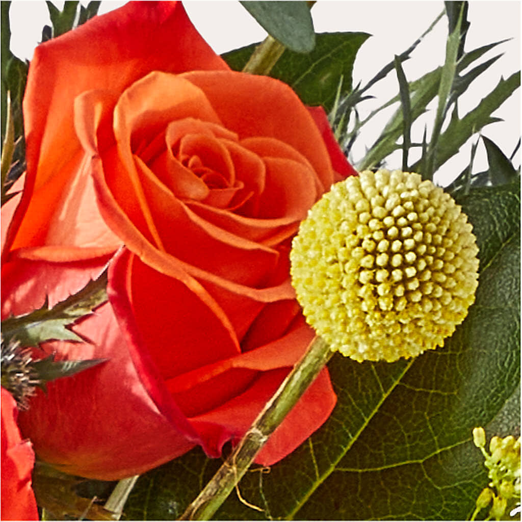 Disco Bouquet –  Greater Fayetteville Flower Shop, Springdale AR