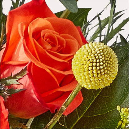 Disco Bouquet –  Greater Fayetteville Flower Shop, Springdale AR