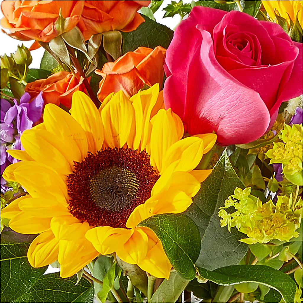 Vibrant Greetings Bouquet –  Greater Fayetteville Flower Shop, Springdale AR