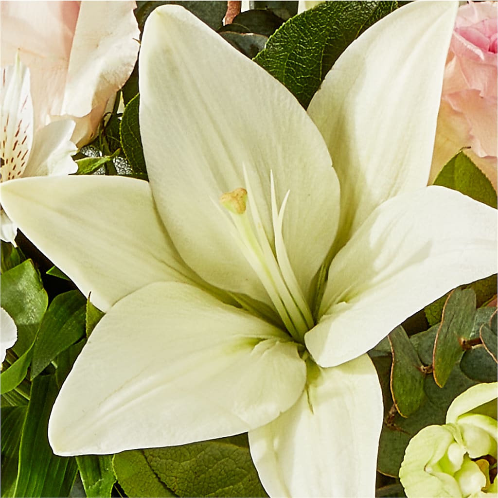 Ballet Slippers Bouquet –  Greater Fayetteville Flower Shop, Springdale AR