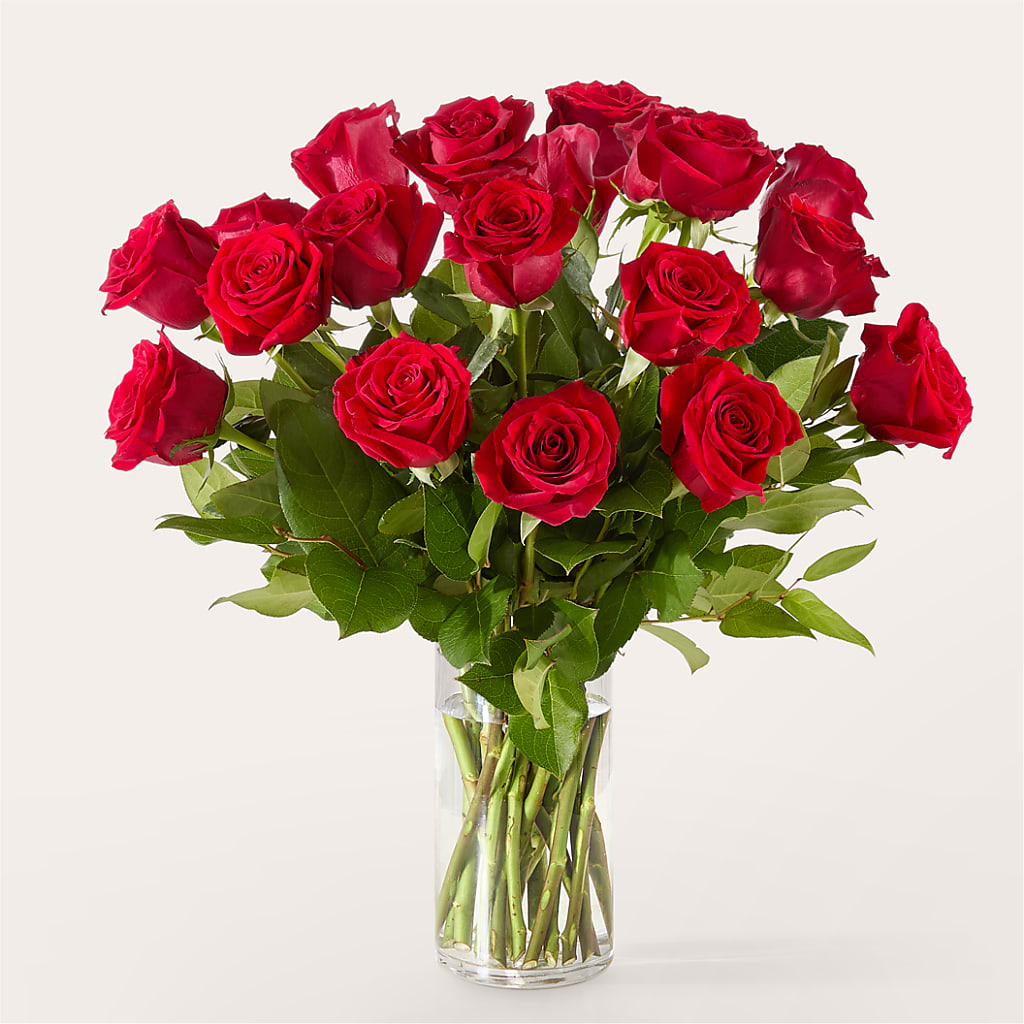 The One Red Rose Bouquet –  Greater Fayetteville Flower Shop, Springdale AR