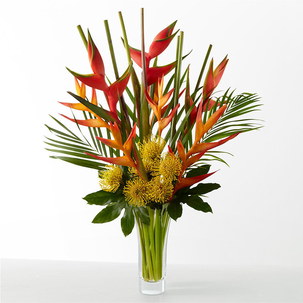 The Drama –  Greater Fayetteville Flower Shop, Springdale AR