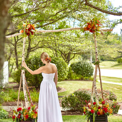 Arbor of Love Archway –  Greater Fayetteville Flower Shop, Springdale AR