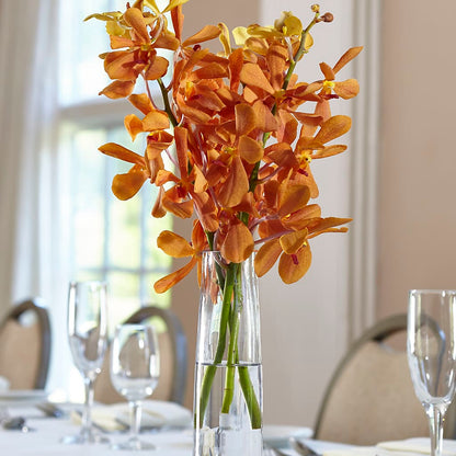 Orange Mokara Bud Vase –  Greater Fayetteville Flower Shop, Springdale AR