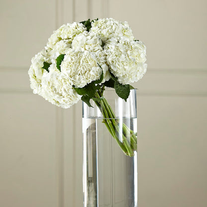 White Hydrangea Hand-Tied Bouquet –  Greater Fayetteville Flower Shop, Springdale AR