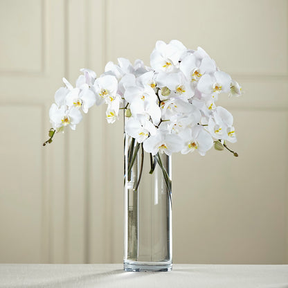 White Phalaenopsis Bouquet –  Greater Fayetteville Flower Shop, Springdale AR