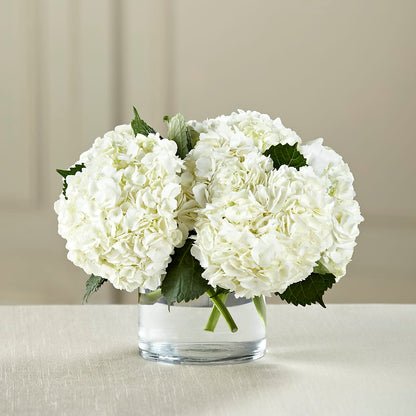 White Hydrangea Bouquet –  Greater Fayetteville Flower Shop, Springdale AR