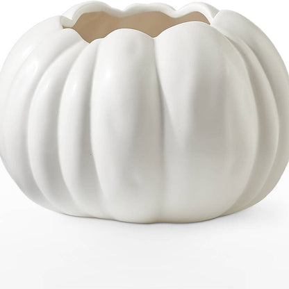 Autumn Air Pumpkin Bouquet –  Greater Fayetteville Flower Shop, Springdale AR